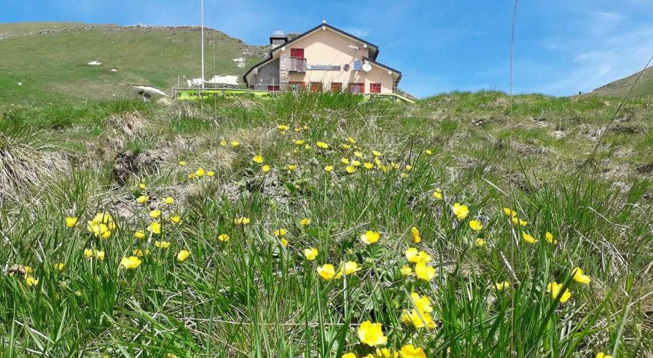 Residenza Letizia Apartment Nemeggio Екстериор снимка